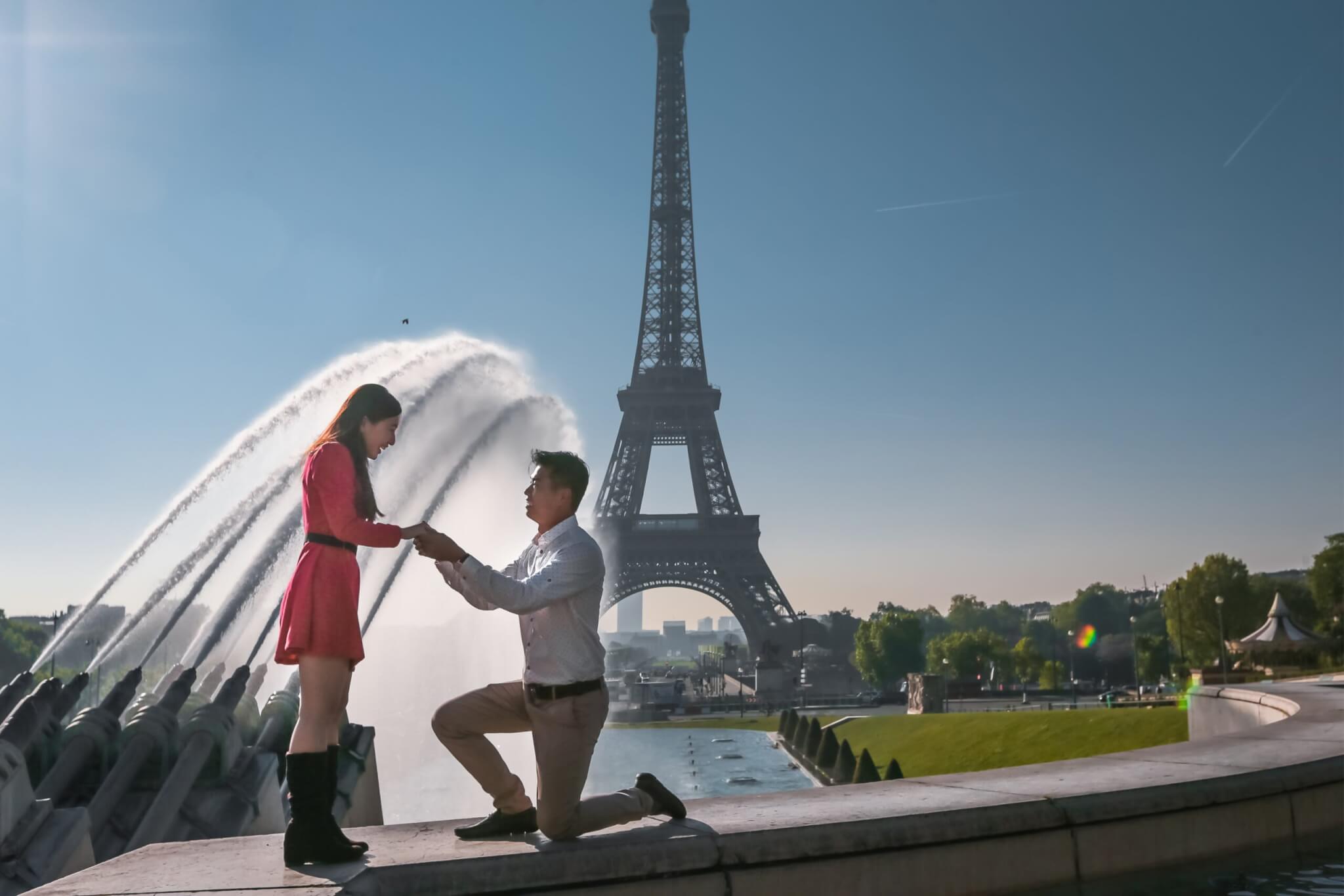proposal in paris